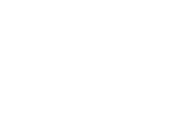 geekporter.com